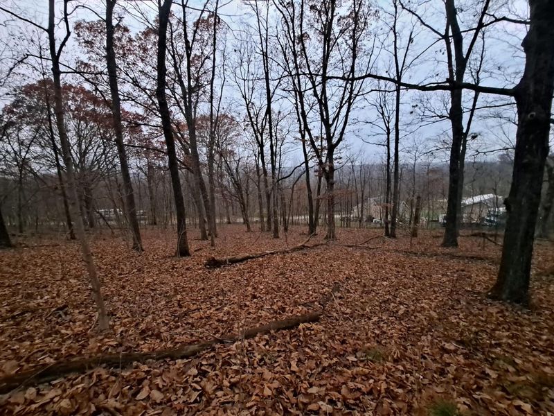 0 E SD BENNER OH, South Salem, OH 45681 Photo 4