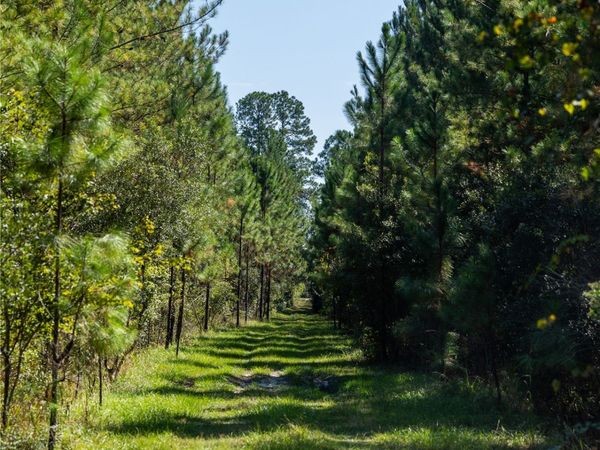 0 US HIGHWAY 301, Callahan, FL 32011