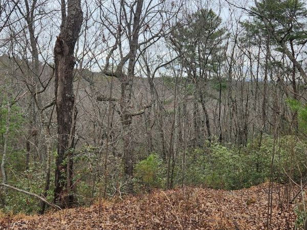 361 Vista Dell Lane, Tallulah Falls, GA 30573