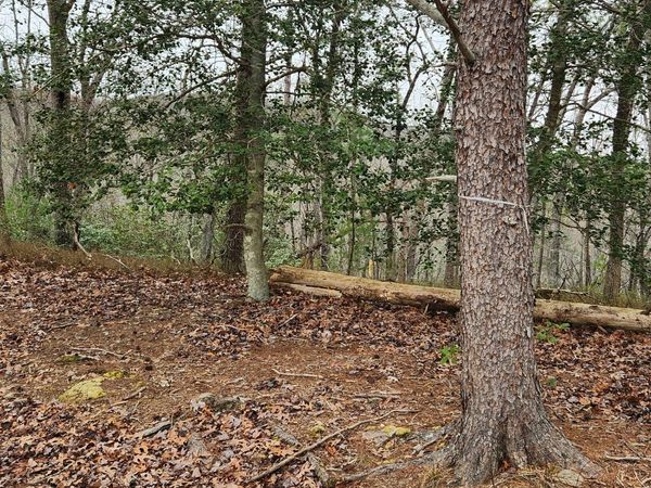 361 Vista Dell Lane, Tallulah Falls, GA 30573