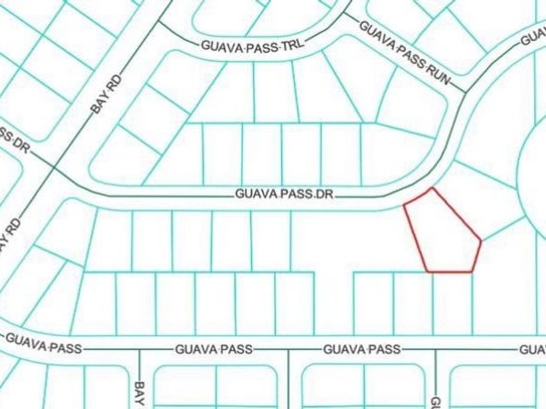 Lot 26 GUAVA PASS DRIVE, OCKLAWAHA, FL 32179