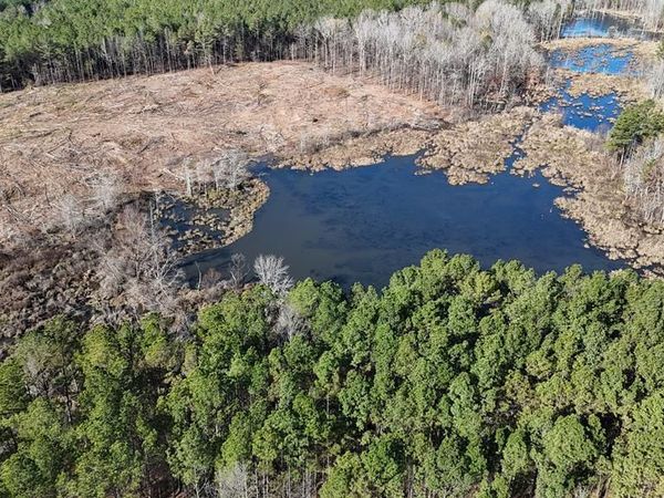 00 Cr 463, Oxford, MS 38655