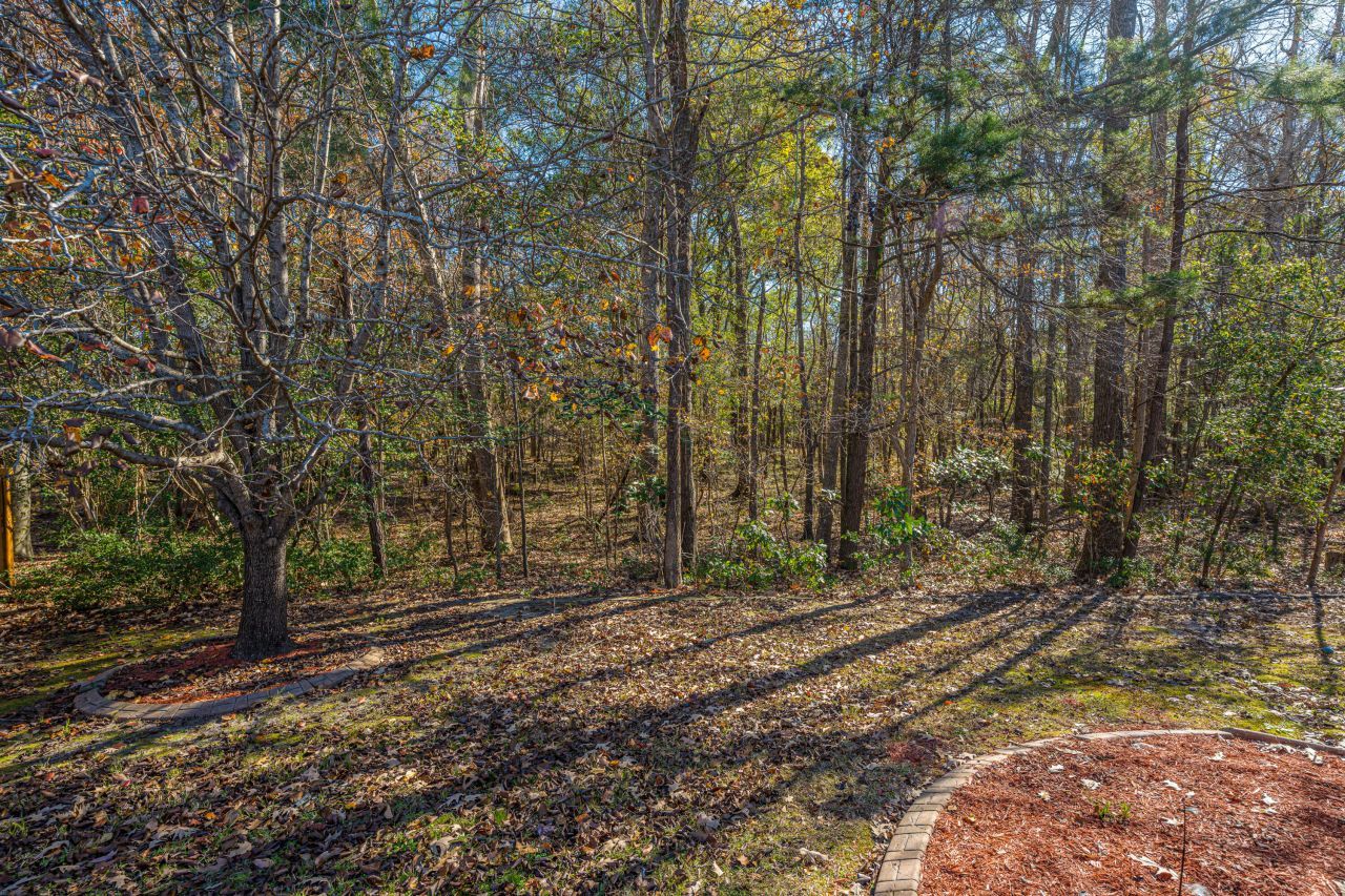 9464 Falling Embers Lane Photo 31