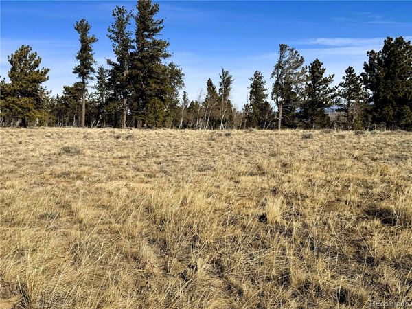 620 Wagon Wheel Road, Hartsel, CO 80449