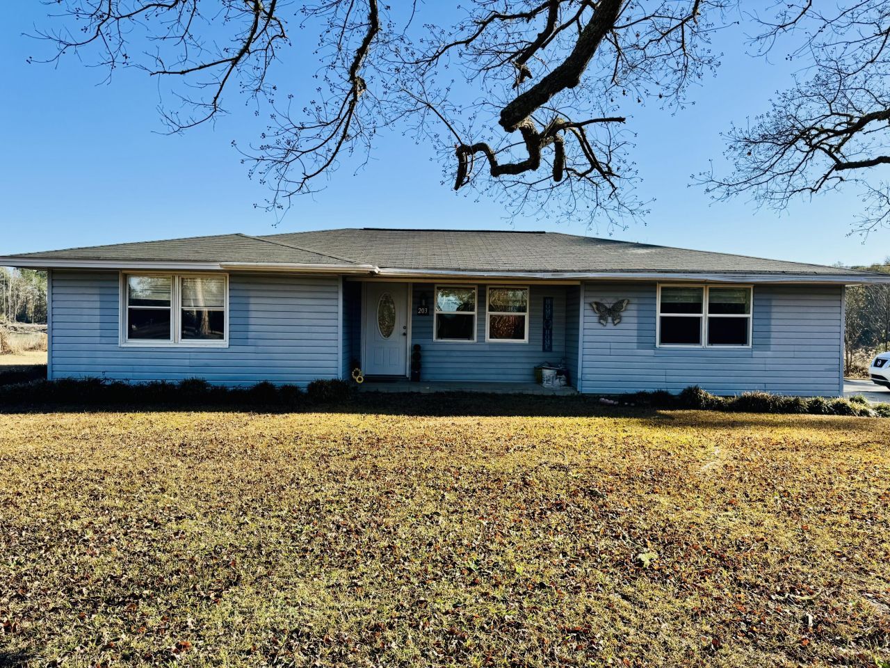 203 Riverview Drive, Elba, AL 36323 Main Photo