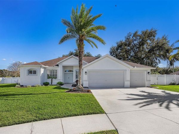 2808 DUNCAN TREE CIRCLE, VALRICO, FL 33594