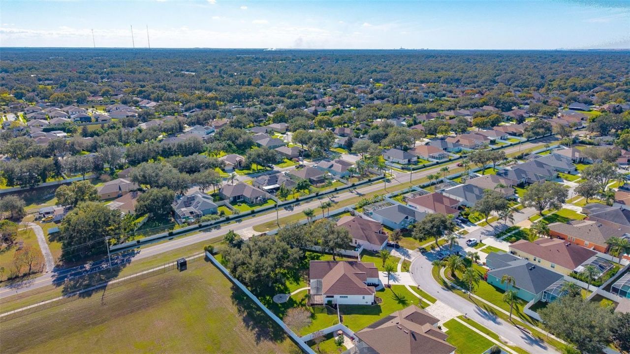 2808 Duncan Tree Circle, Valrico, FL 33594 Photo