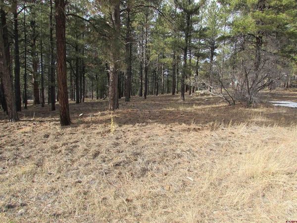 424 Antelope Avenue, Pagosa Springs, CO 81147