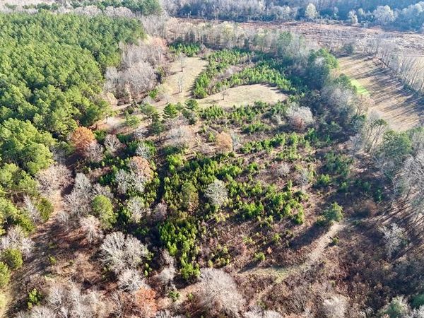 00 Cr 82, Coffeeville, MS 38922