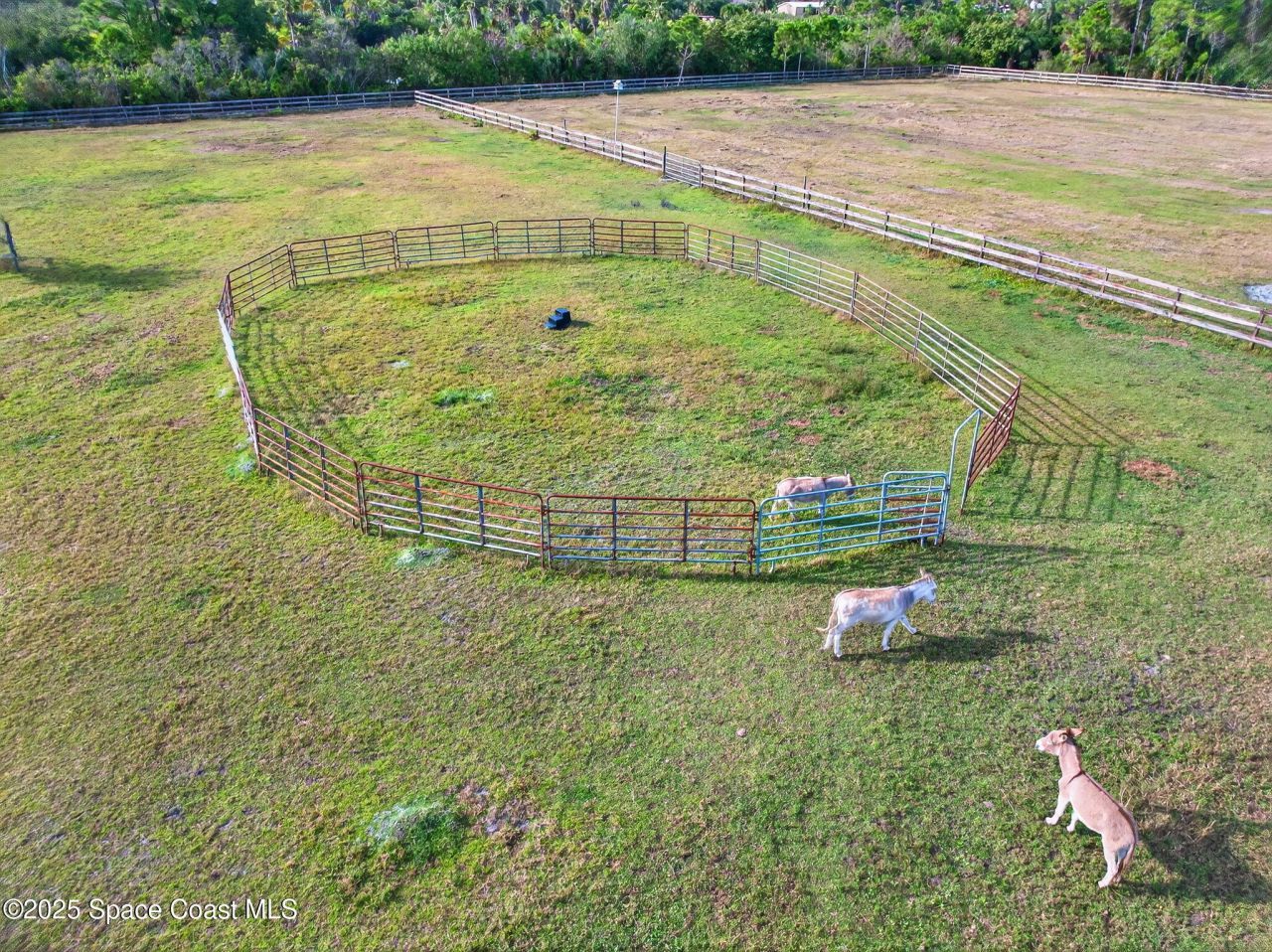 2740 Waring Lane S, Malabar, FL 32950 Photo