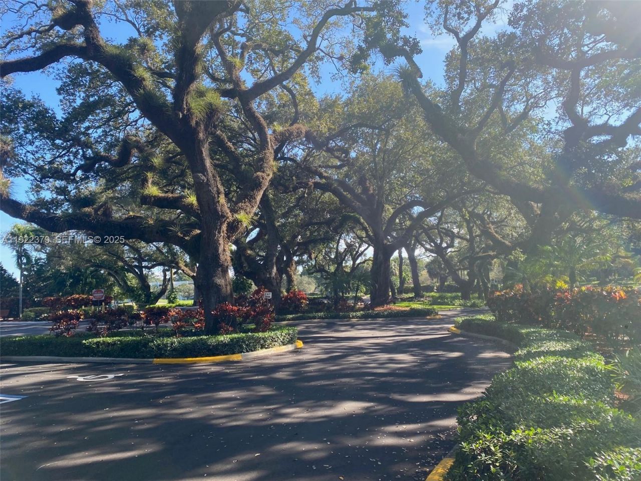 9420 Poinciana Pl , Unit 214, Davie, FL 33324 Photo