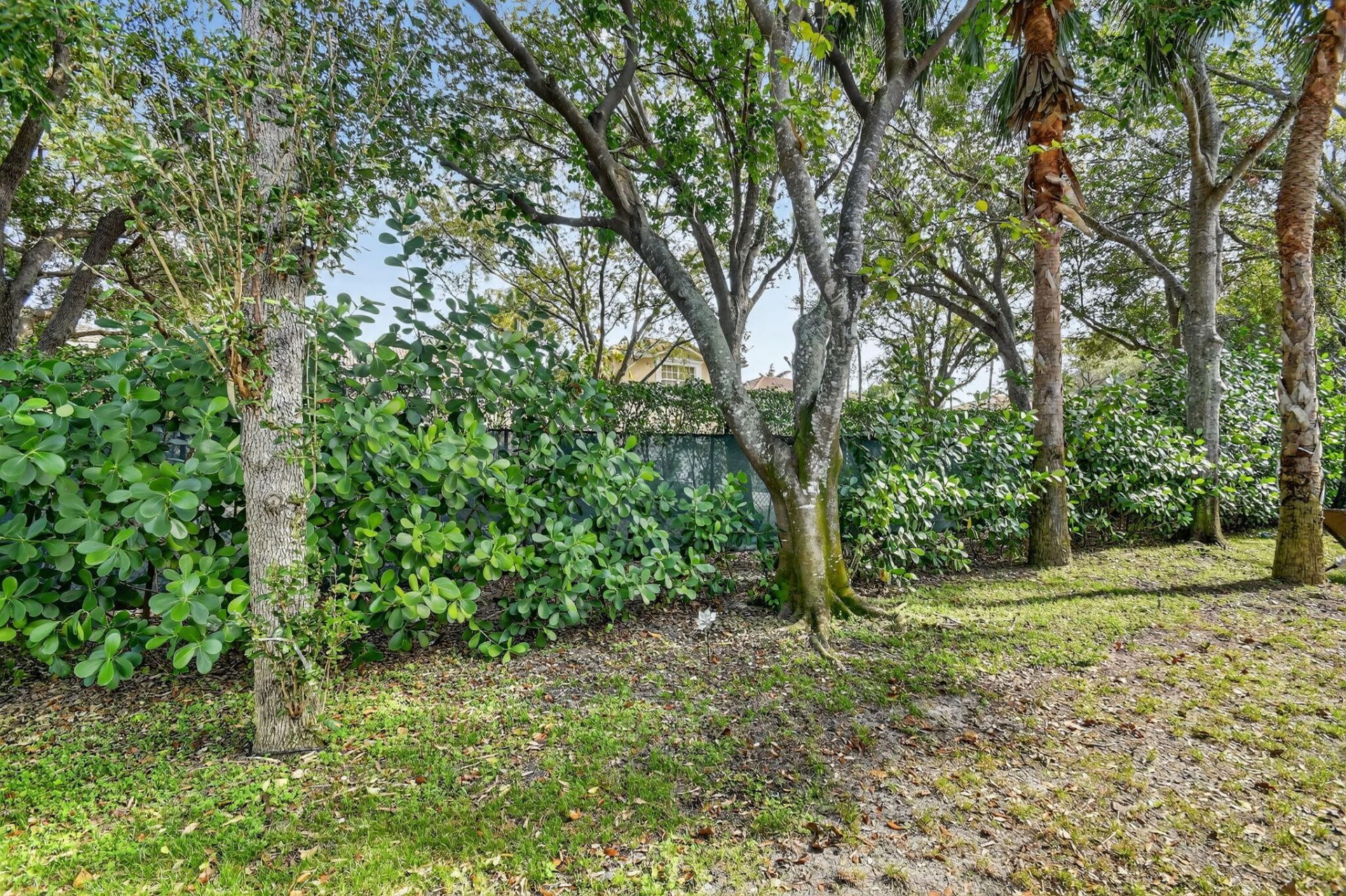 1605 E Classical Boulevard, Delray Beach, FL 33445 Photo