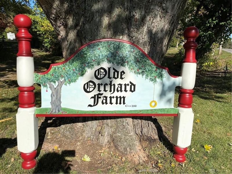 4372 E Patterson Road, Beavercreek, OH 45430 Photo 3