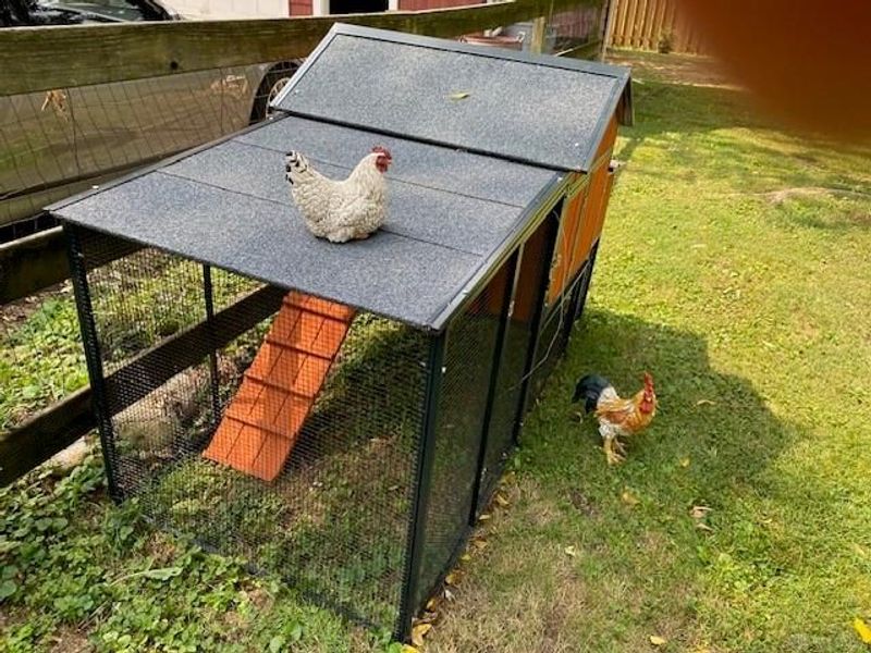 4372 E Patterson Road, Beavercreek, OH 45430 Photo 70