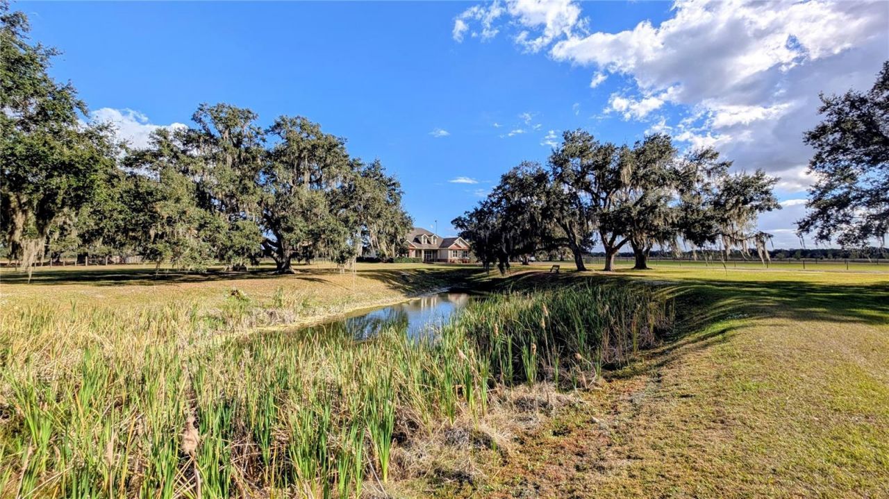 7053 George Marsh Road, Zolfo Springs, FL 33890 Photo