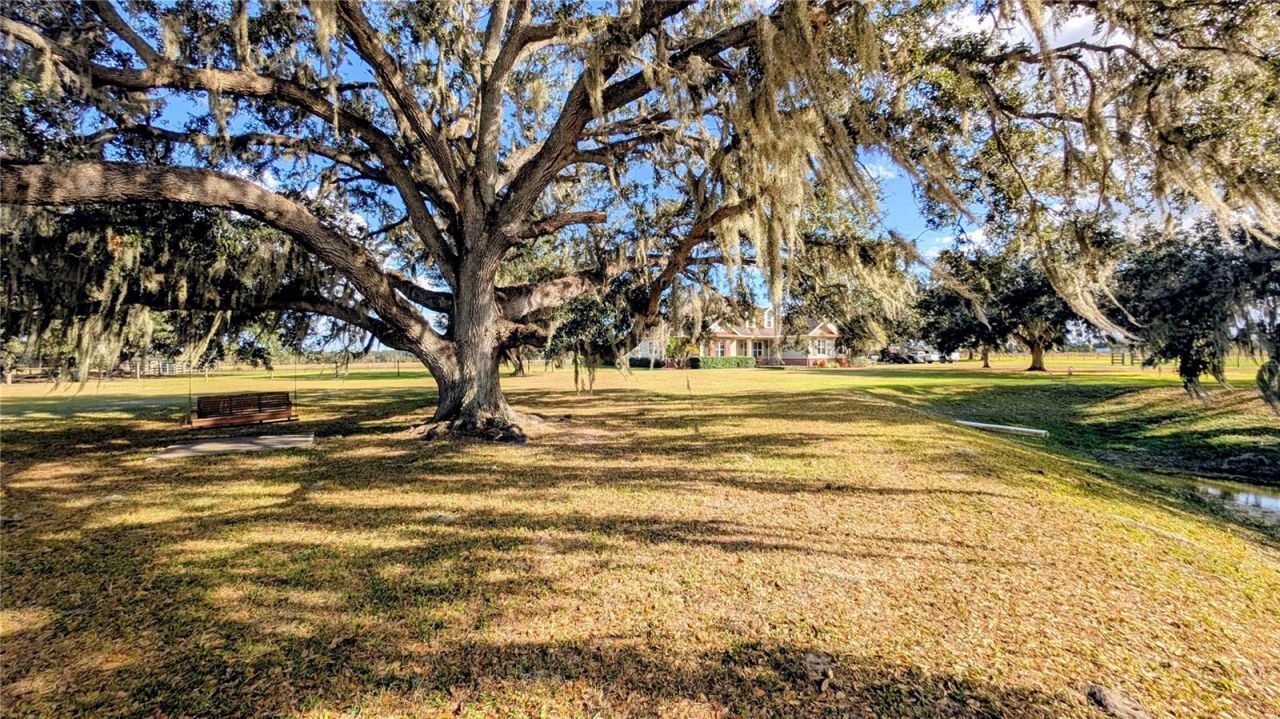 7053 George Marsh Road, Zolfo Springs, FL 33890 Photo