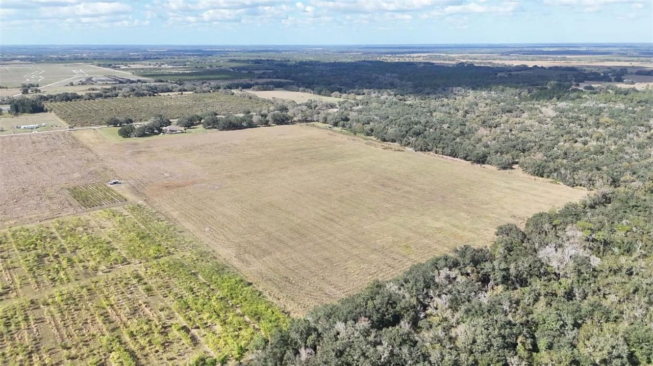 7053 George Marsh Road, Zolfo Springs, FL 33890 Photo