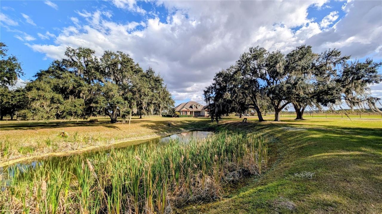 7053 George Marsh Road, Zolfo Springs, FL 33890 Photo