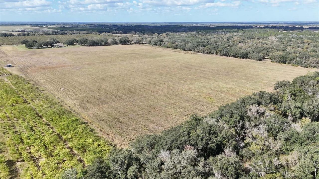 7053 George Marsh Road, Zolfo Springs, FL 33890 Photo