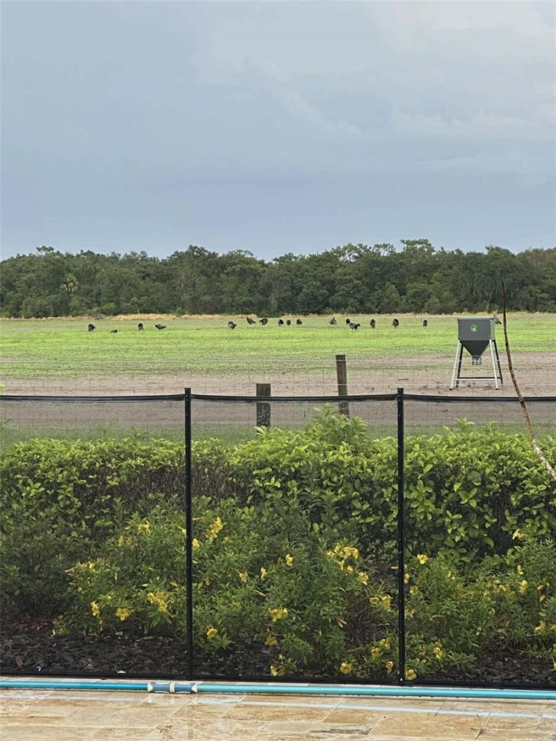 7053 George Marsh Road, Zolfo Springs, FL 33890 Photo