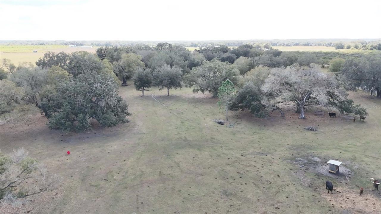 7053 George Marsh Road, Zolfo Springs, FL 33890 Photo