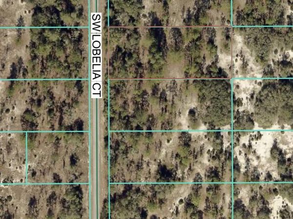 Tbd Lot 32 SW Lobelia Court, Dunnellon, FL 34431