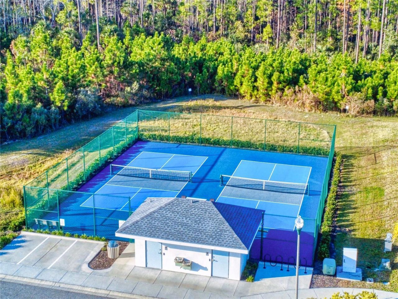 354 Caryota Court, New Smyrna Beach, FL 32168 Photo
