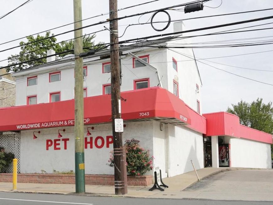 7043 45 Ridge Avenue, Philadelphia, PA 19128 Main Photo