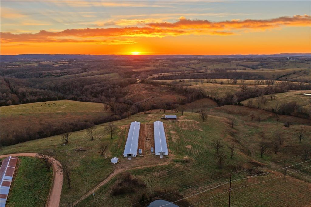 3483 County Road 614, Green Forest, AR 72638 Main Photo