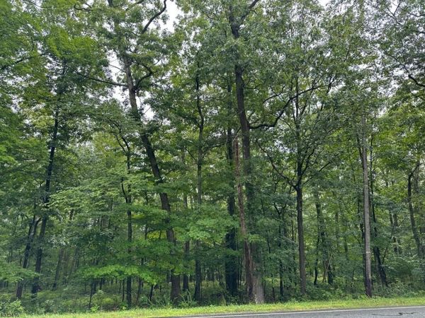 220 Mattison Reservoir Ave, Frankford, NJ 07826