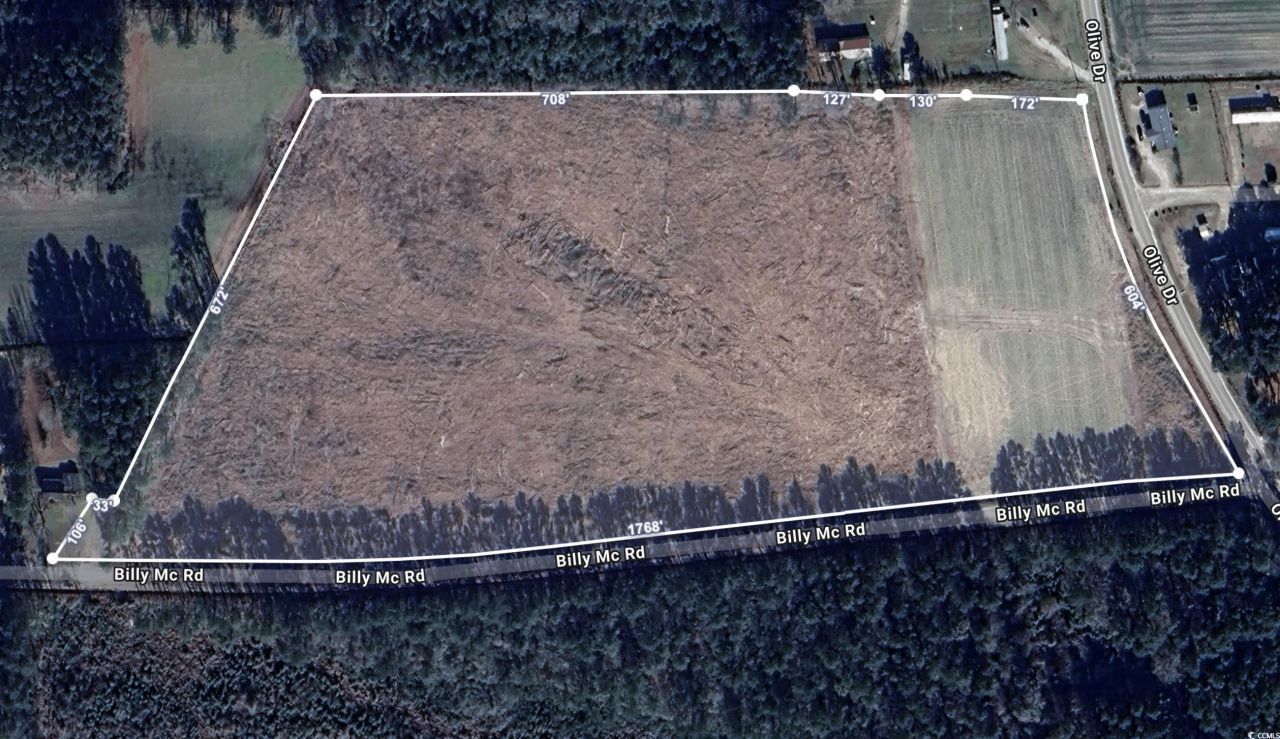 Tbd Billy Mc Rd. Photo 6