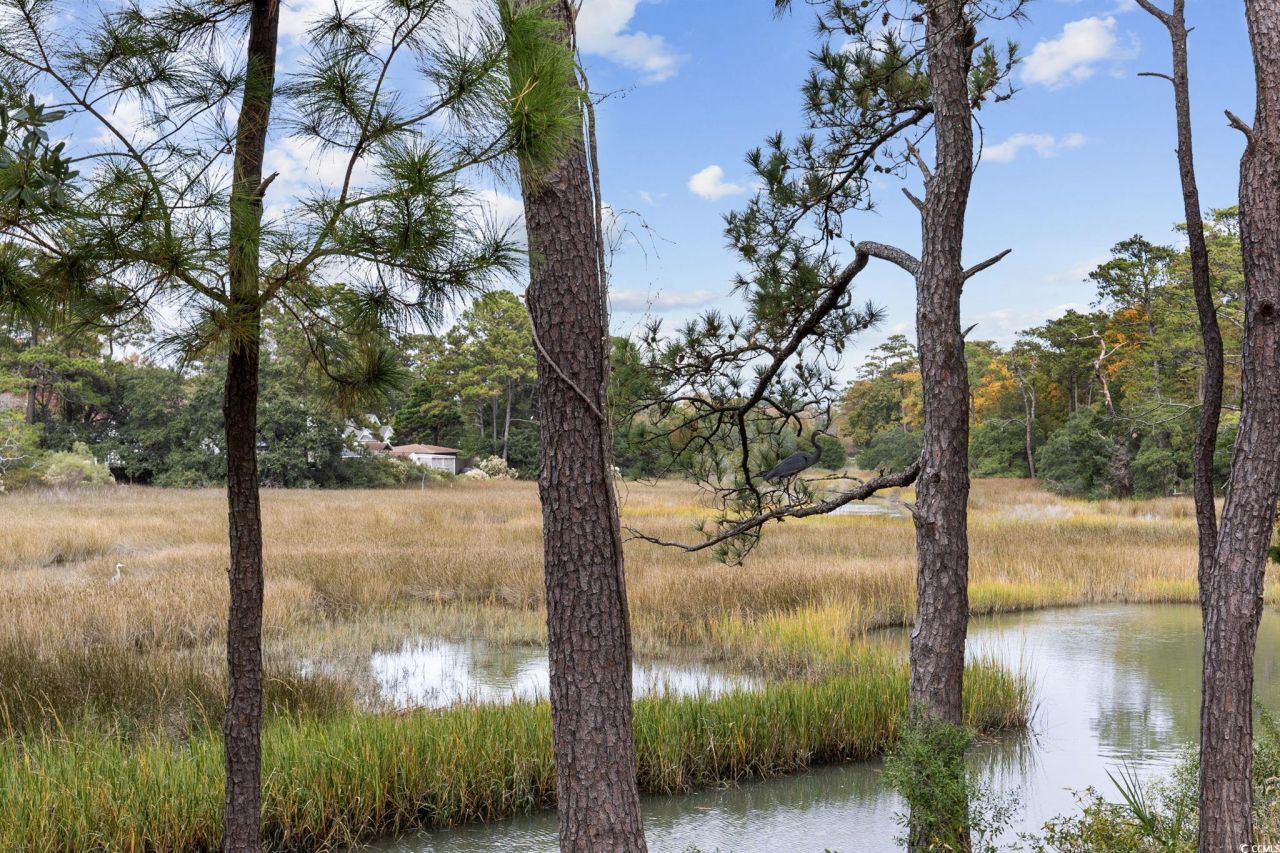 627 Bonaventure Dr. Photo 29