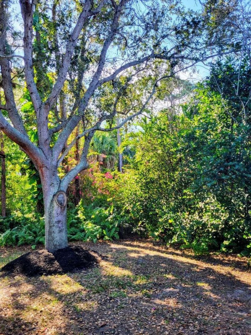 2585 SE Marseille St, Port Saint Lucie, FL 34952 Photo