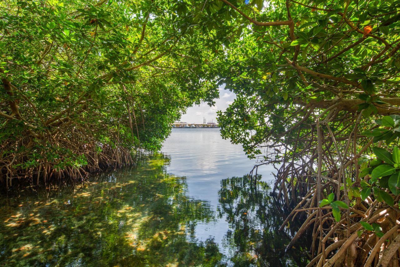 901 Eisenhower Drive, Key West, FL 33040 Photo