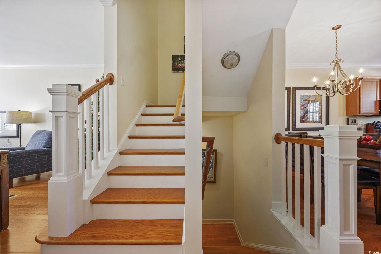 3460 Pampas Dr. Photo 11