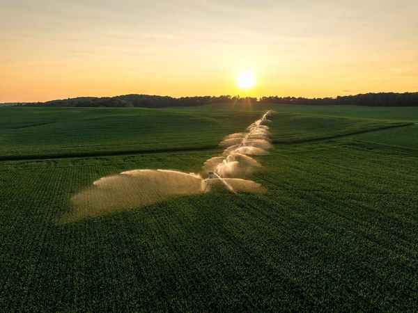 1,120.44� Acres Land Auction, Iola, WI 54945