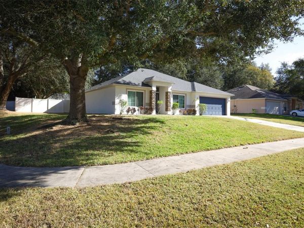 1319 RAIN FOREST LANE, MINNEOLA, FL 34715