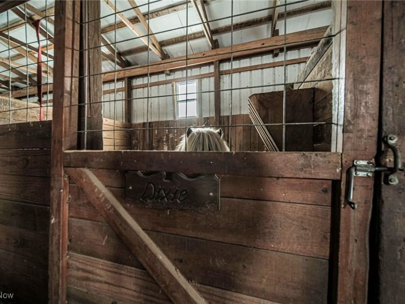 14361 Stanwood Street SW, Navarre, OH 44662 Photo 44