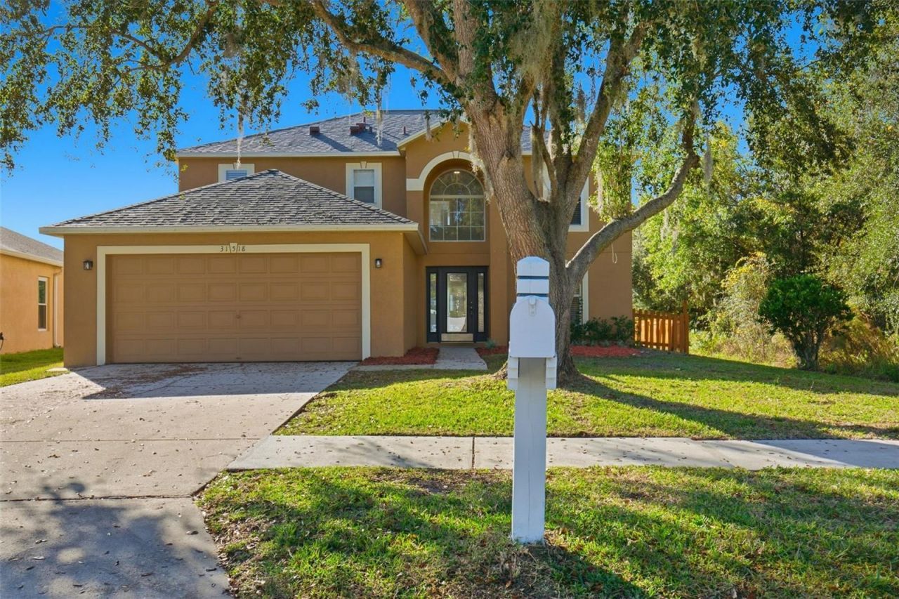 31518 Earn Drive, Wesley Chapel, FL 33545 Main Photo
