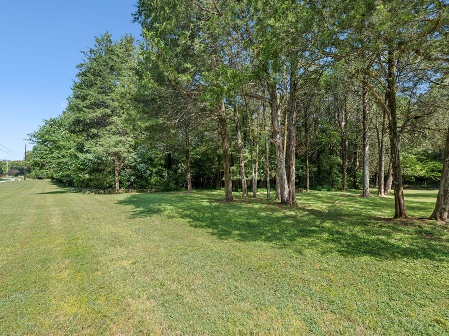Property Image 85