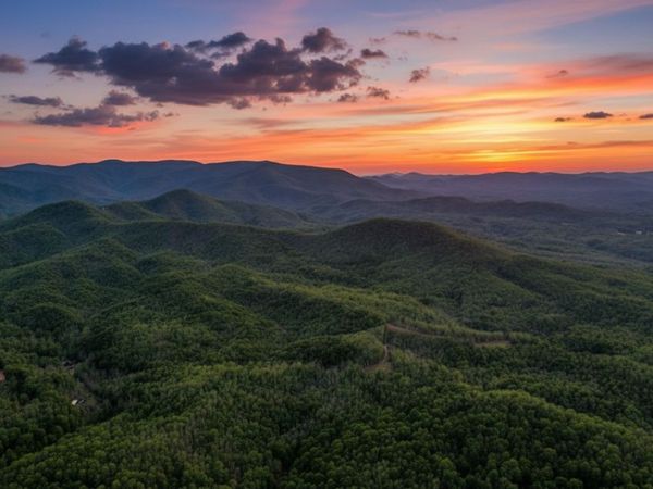 6.44 Whispering Oaks Drive, Ellijay, GA 30540