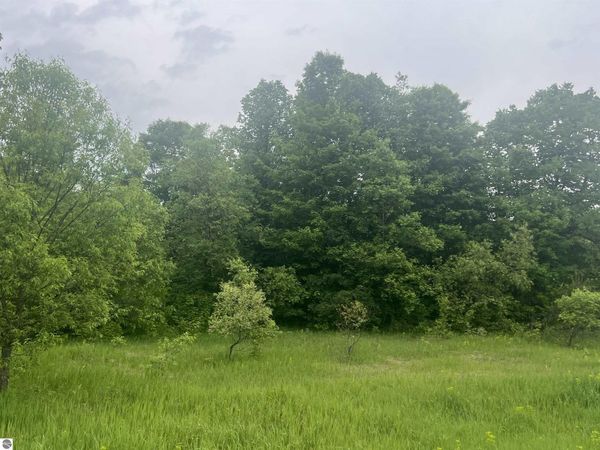 Wood Road, NE, Kalkaska, MI 49646