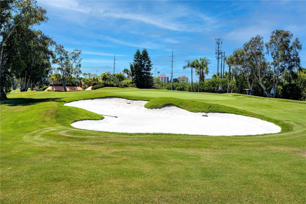 6113 Palma Del Mar Boulevard S, Unit 221, Saint Petersburg, FL 33715 Photo