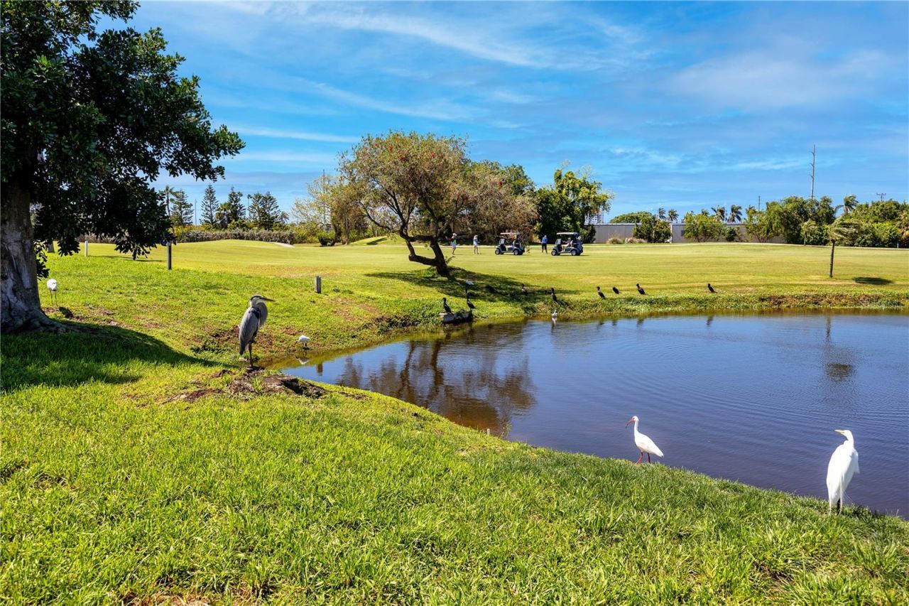 6113 Palma Del Mar Boulevard S, Unit 221, Saint Petersburg, FL 33715 Photo