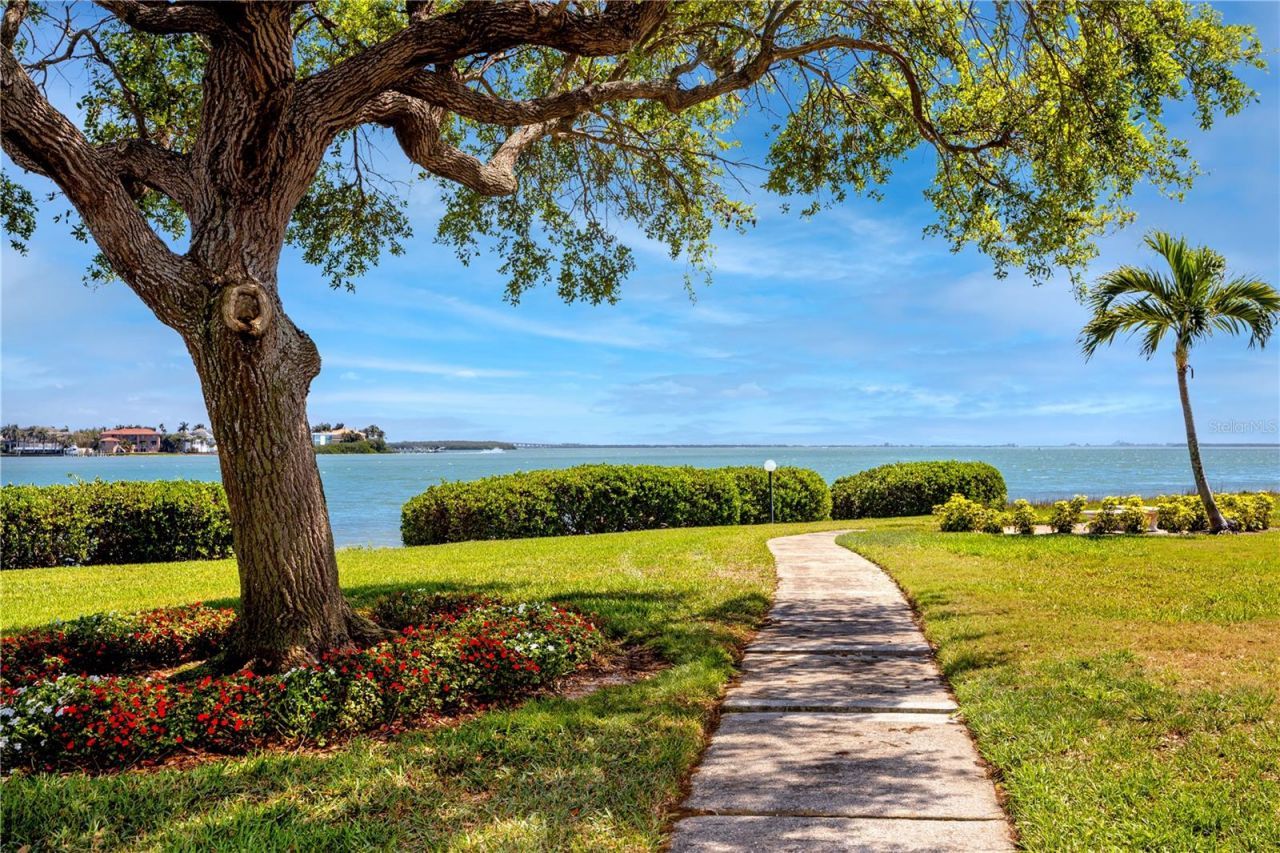 6113 Palma Del Mar Boulevard S, Unit 221, Saint Petersburg, FL 33715 Photo