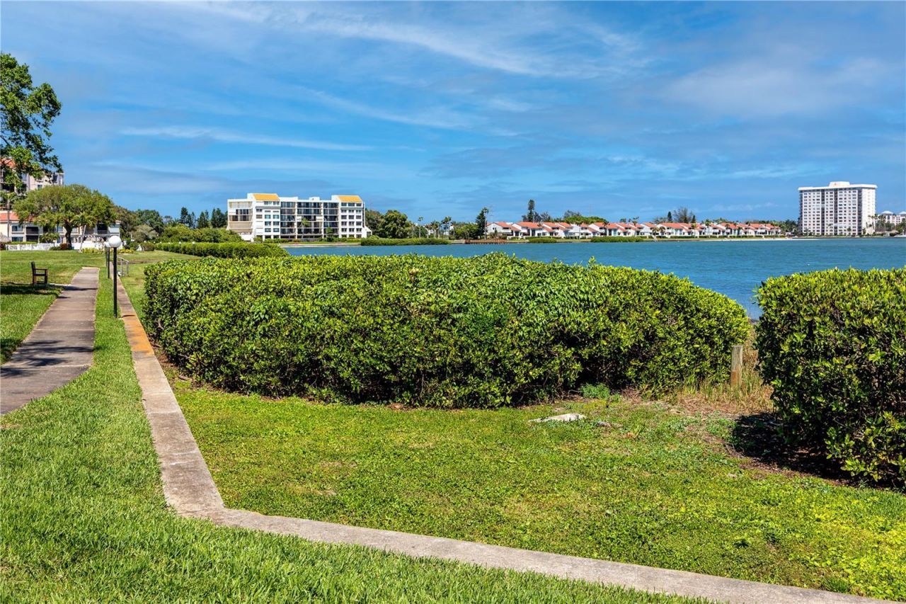 6113 Palma Del Mar Boulevard S, Unit 221, Saint Petersburg, FL 33715 Photo