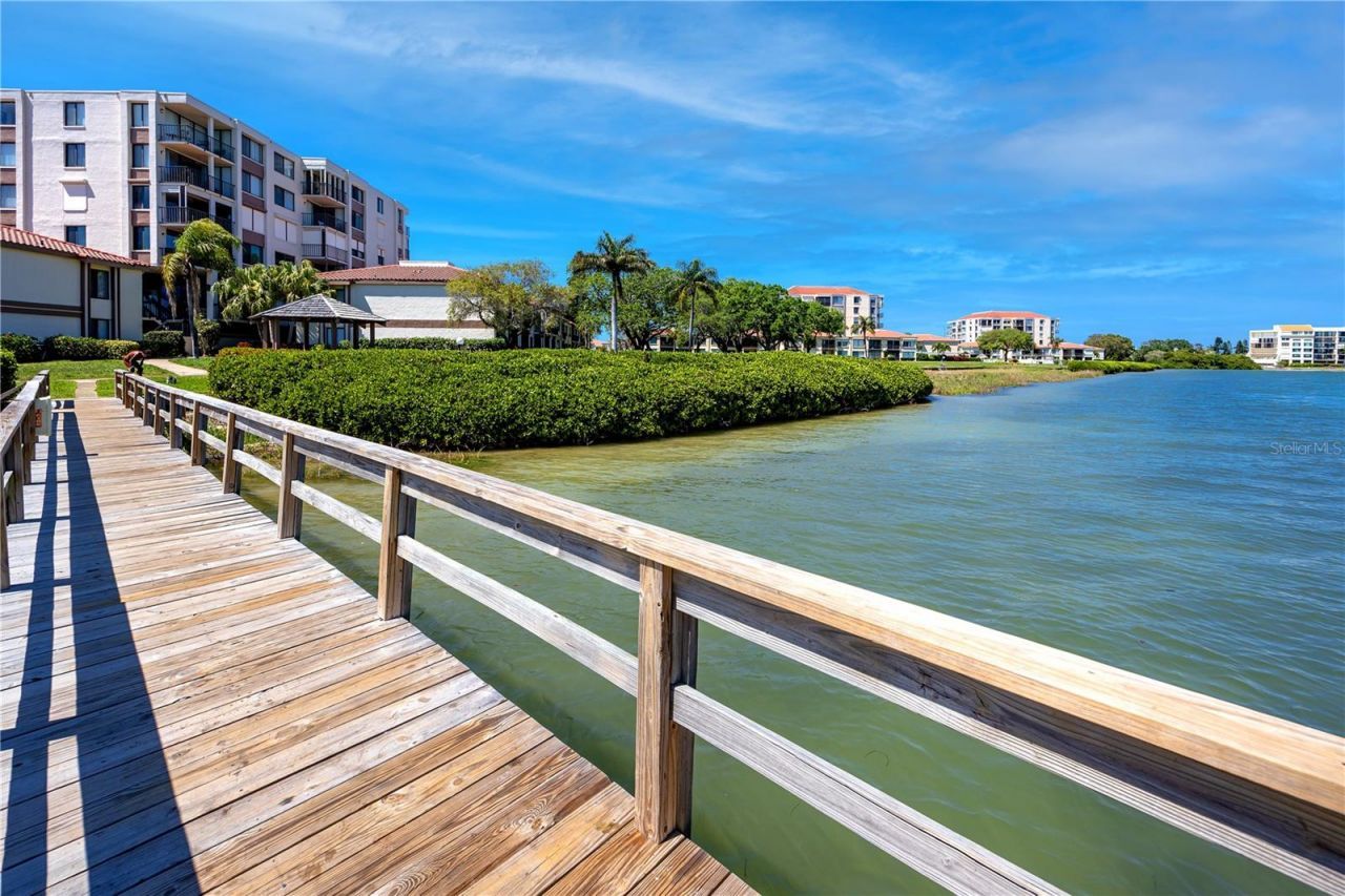 6113 Palma Del Mar Boulevard S, Unit 221, Saint Petersburg, FL 33715 Photo