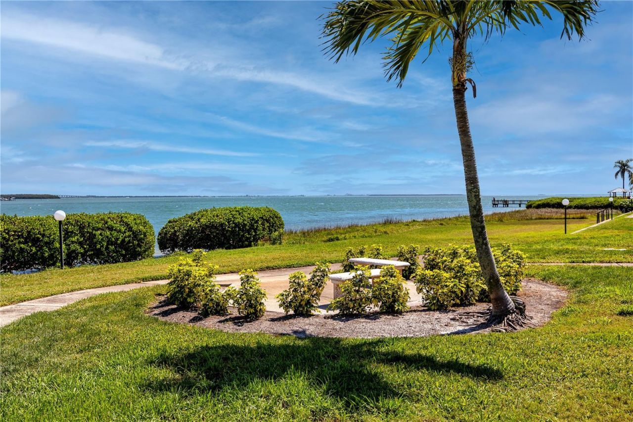 6113 Palma Del Mar Boulevard S, Unit 221, Saint Petersburg, FL 33715 Photo