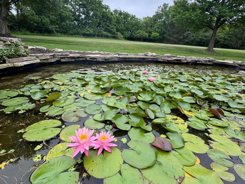 7785 Kate Brown Drive, Dublin, OH 43017 Photo 46