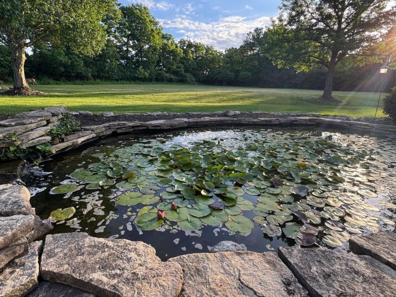 7785 Kate Brown Drive, Dublin, OH 43017 Photo 48